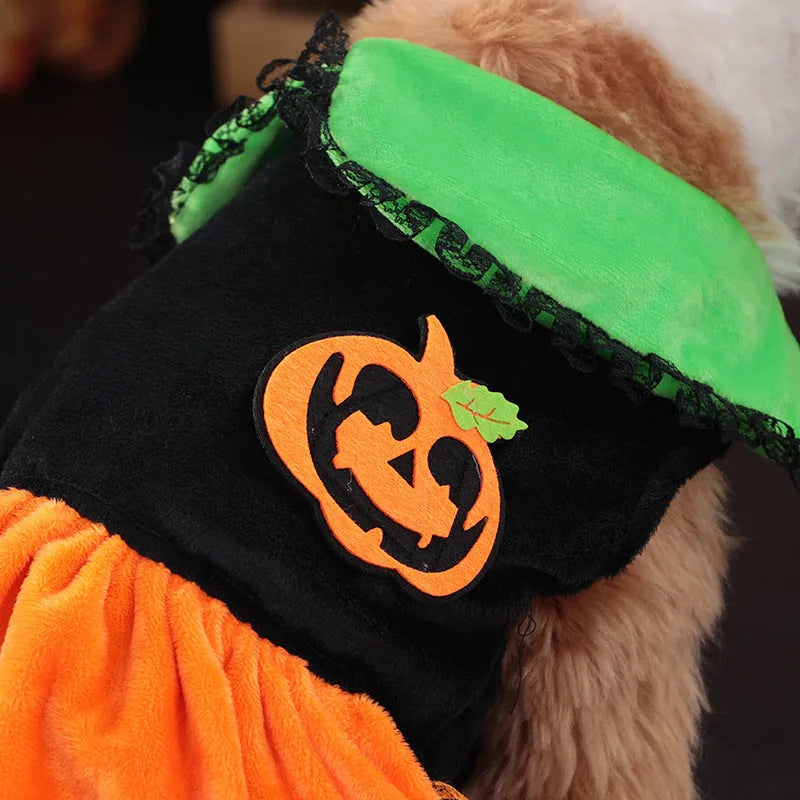 Halloween pumpkin skirt and sweater pet costumes for dogs and cats in crystal velvet fabric