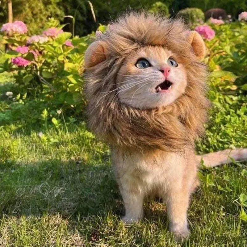 Lion mane wig accessory for cats and small dogs with plush ears and adjustable elastic band