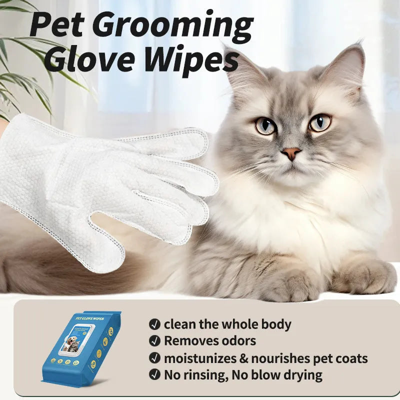 Pack of disposable plastic gloves for pet bathing and cleaning tasks.