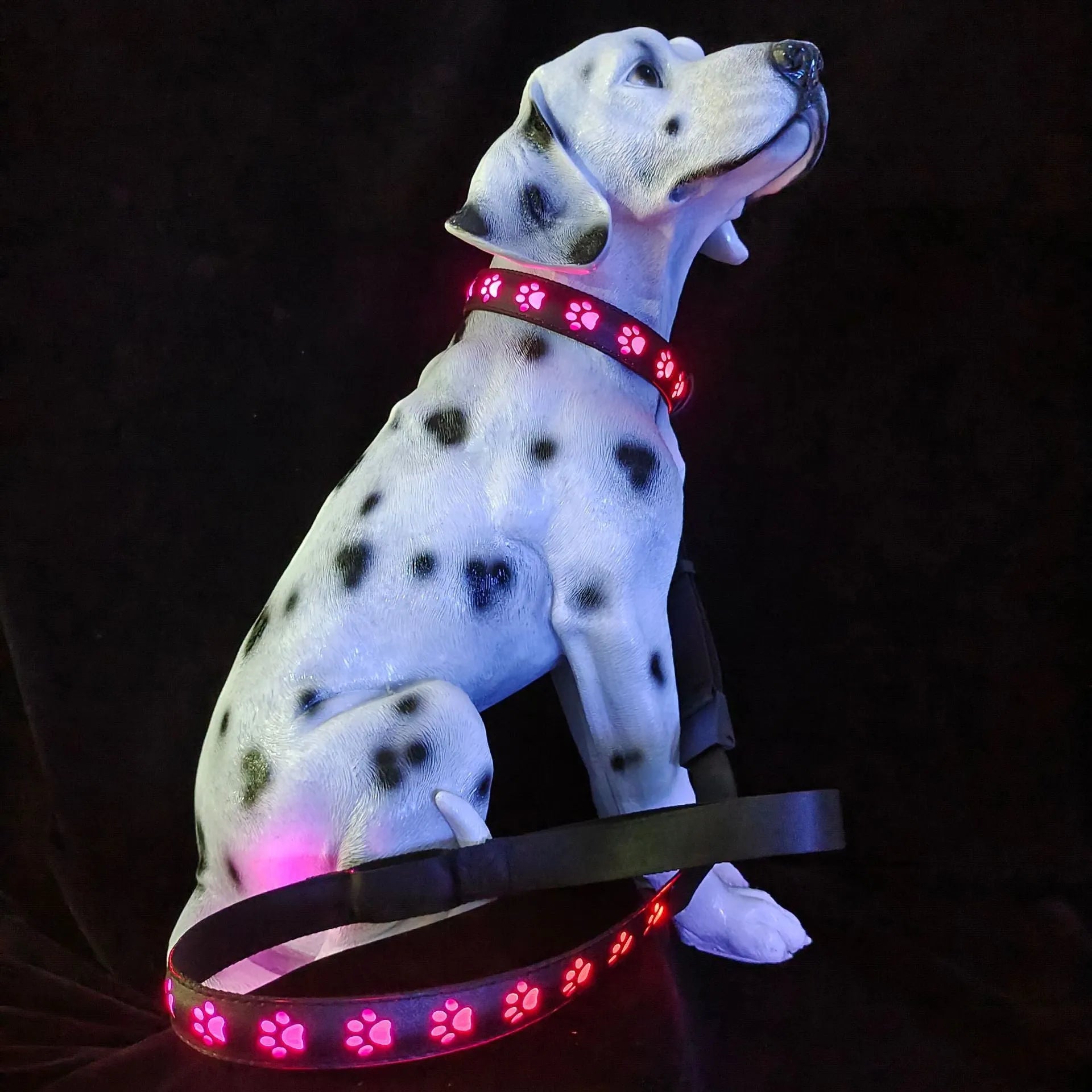 LED luminous pet collar with dog paw printing showing seven different colour modes on a dark background.