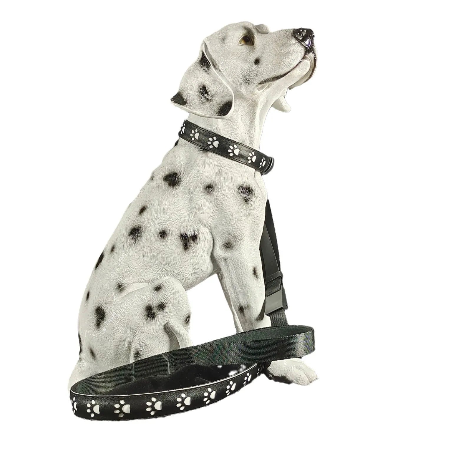 LED luminous pet collar with dog paw printing showing seven different colour modes on a dark background.