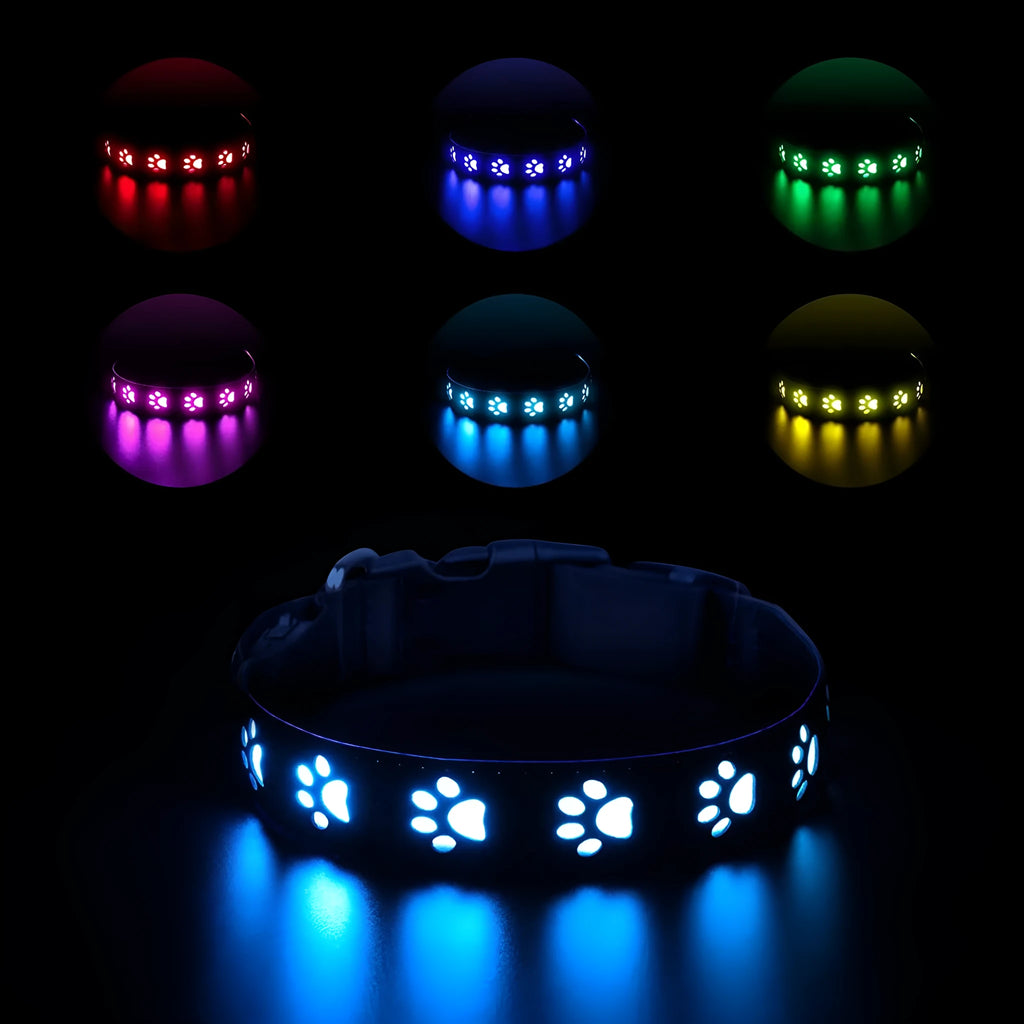 LED luminous pet collar with dog paw printing showing seven different colour modes on a dark background.