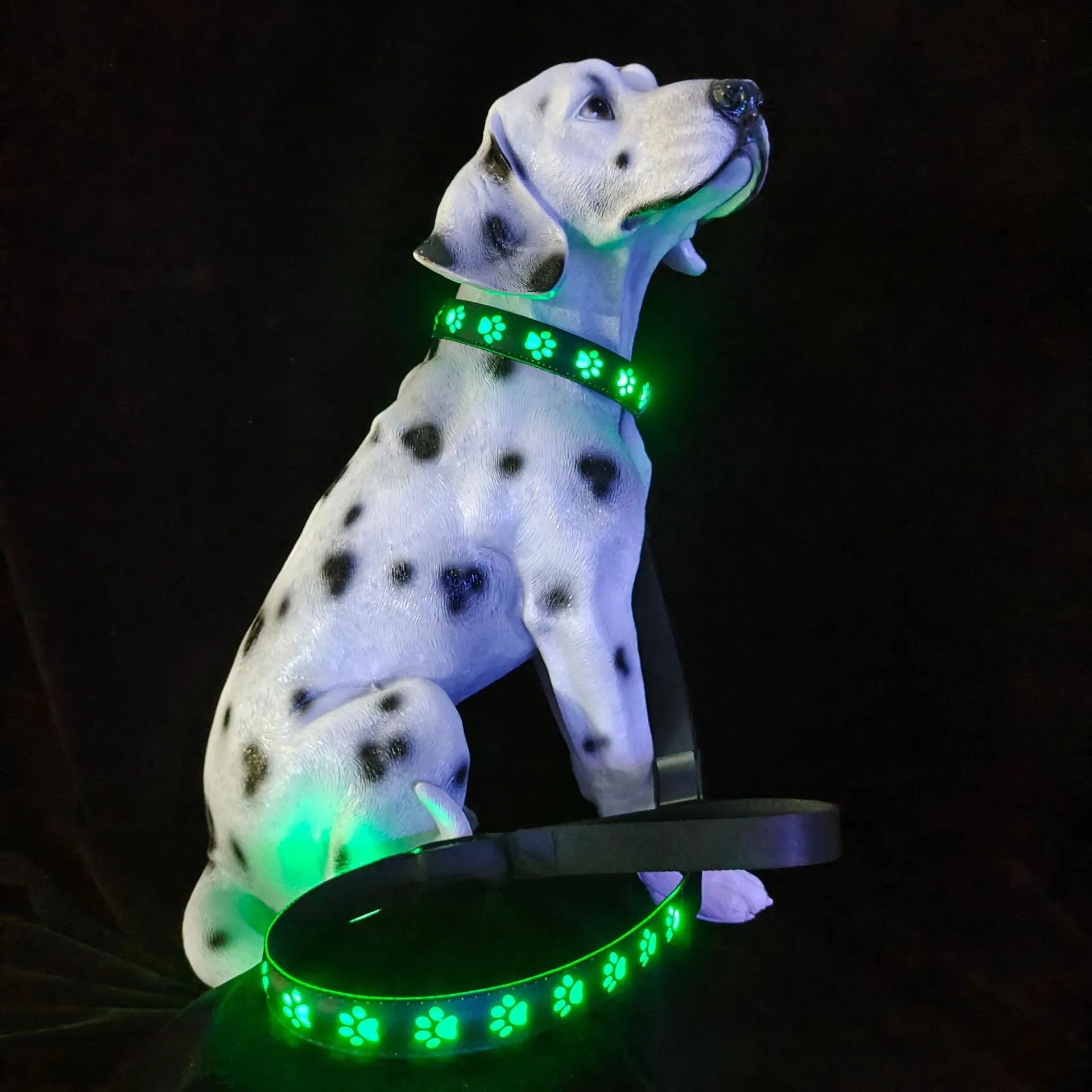 LED luminous pet collar with dog paw printing showing seven different colour modes on a dark background.