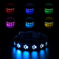 LED luminous pet collar with dog paw printing showing seven different colour modes on a dark background.