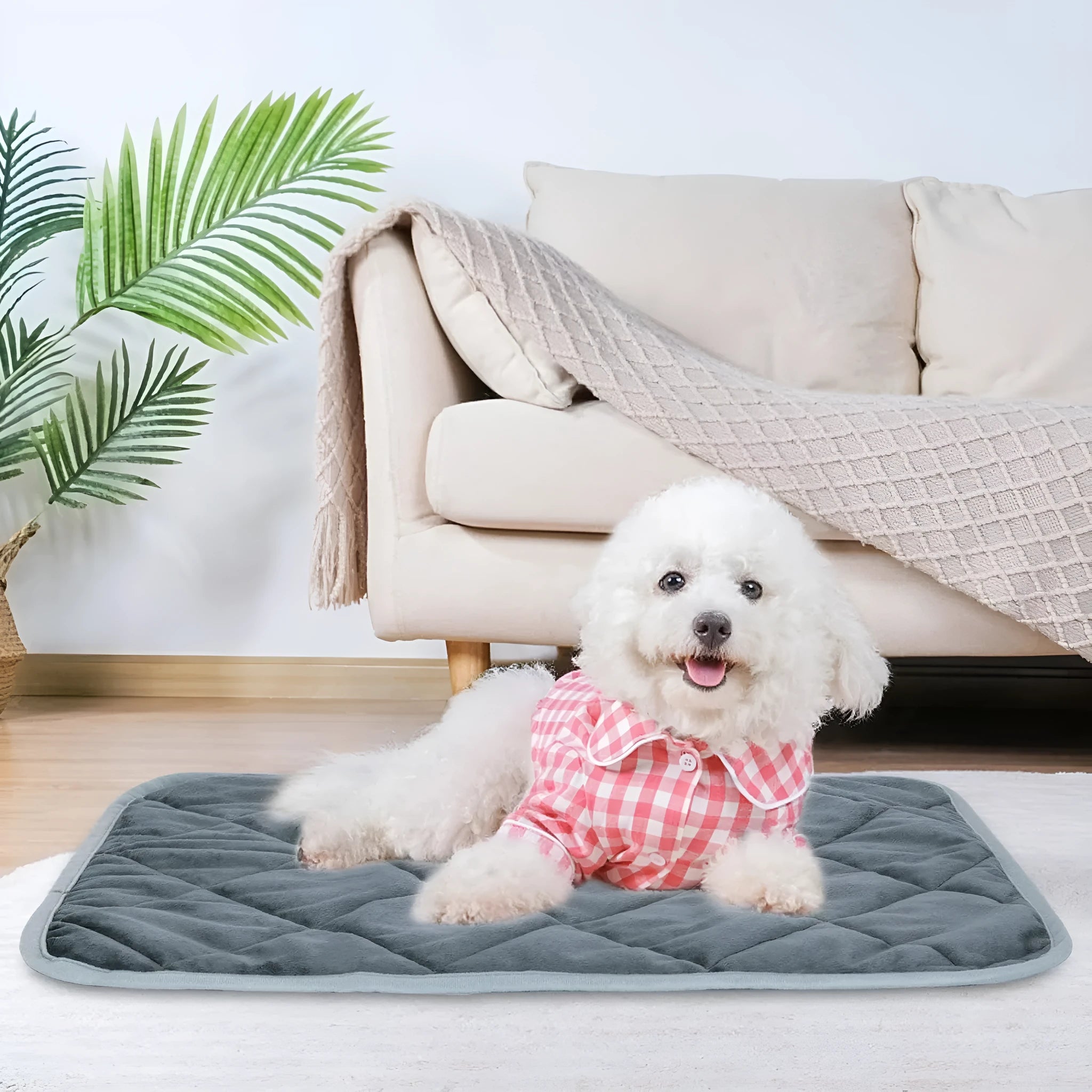 Grey multi-layer pet cushion shown in four available size options for cats and dogs