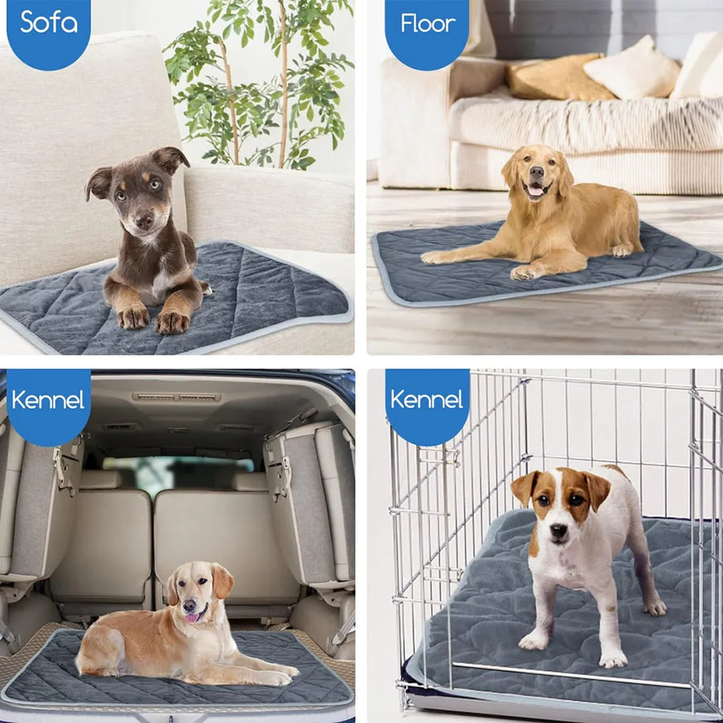 Grey multi-layer pet cushion shown in four available size options for cats and dogs
