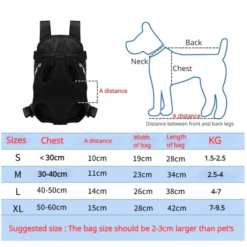 A person wearing a black nylon dog carrier backpack with a small dog looking out from the open top.