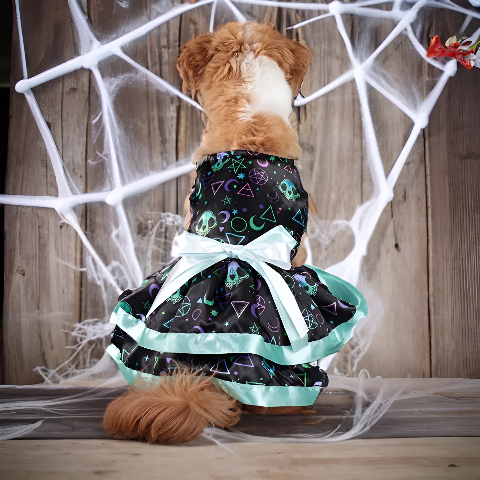 Halloween dog skirt costume with colourful pumpkin and skull prints on double-layer polyester fabric