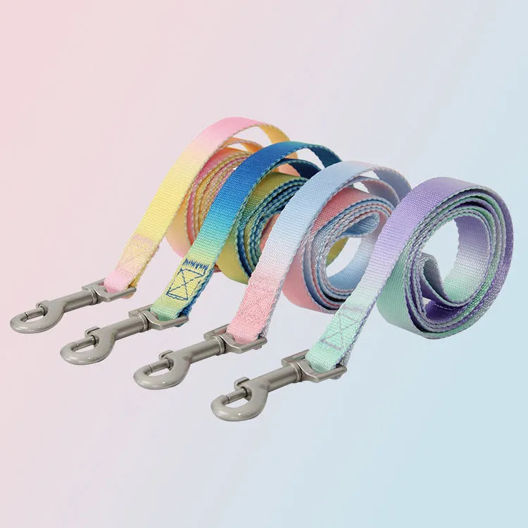 Nylon dog leash set showing pink and yellow gradient colour with multiple attachment options