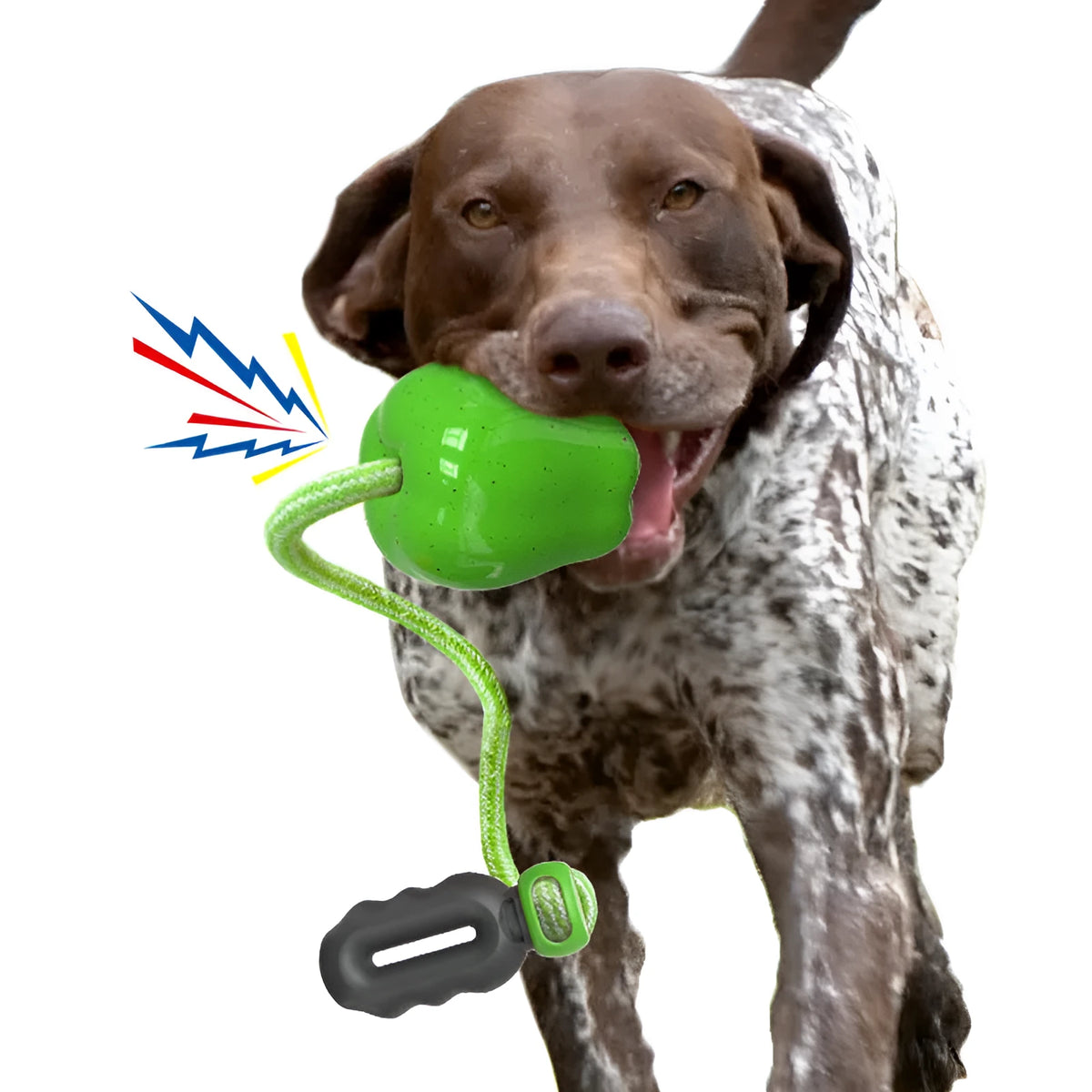 Green plastic apple-shaped dog toy with food dropping ball function and squeaker