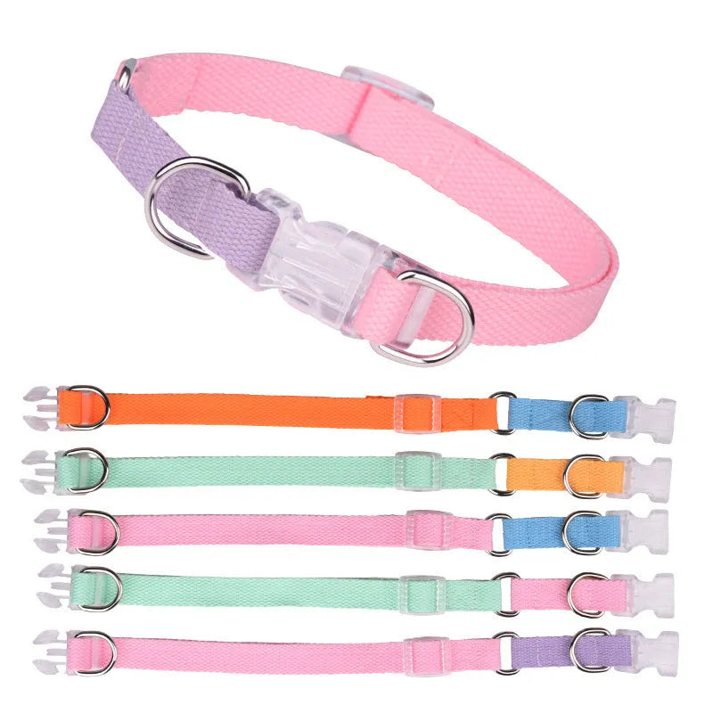 Polyester rib dog collar and lead set in multicolour combination with adjustable sizing