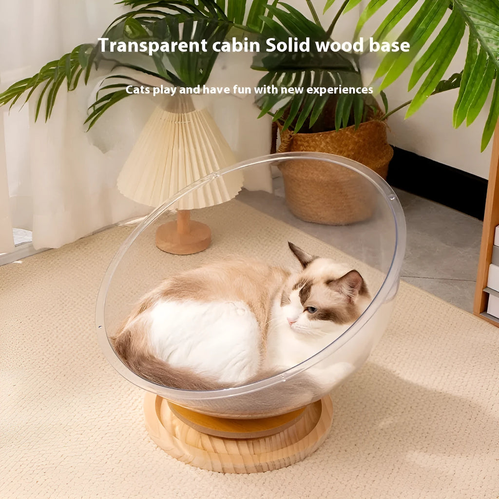 Transparent acrylic cat space capsule bed on a wooden base, showing its bathtub-style design.