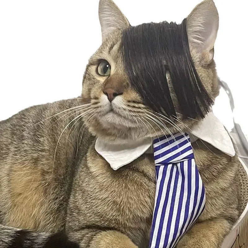 Black imitation braid cat wig with fox tail style design for pet dressing up