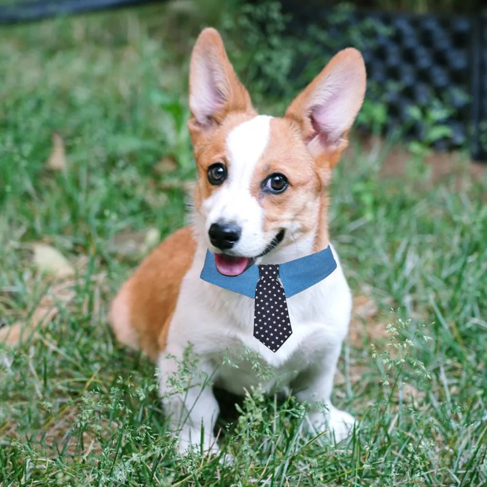 Denim dog collar with star pattern necktie for weddings and formal events