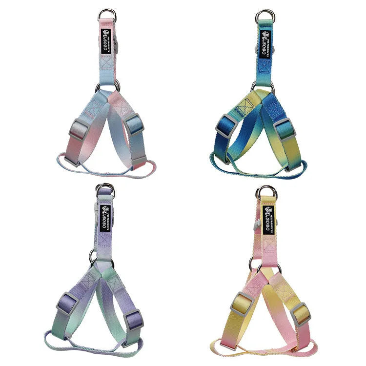 Nylon dog leash set showing pink and yellow gradient colour with multiple attachment options