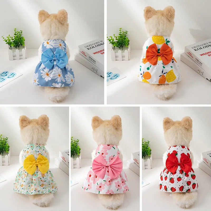 Orange floral butterfly pet dress with decorative bow knot on dog model
