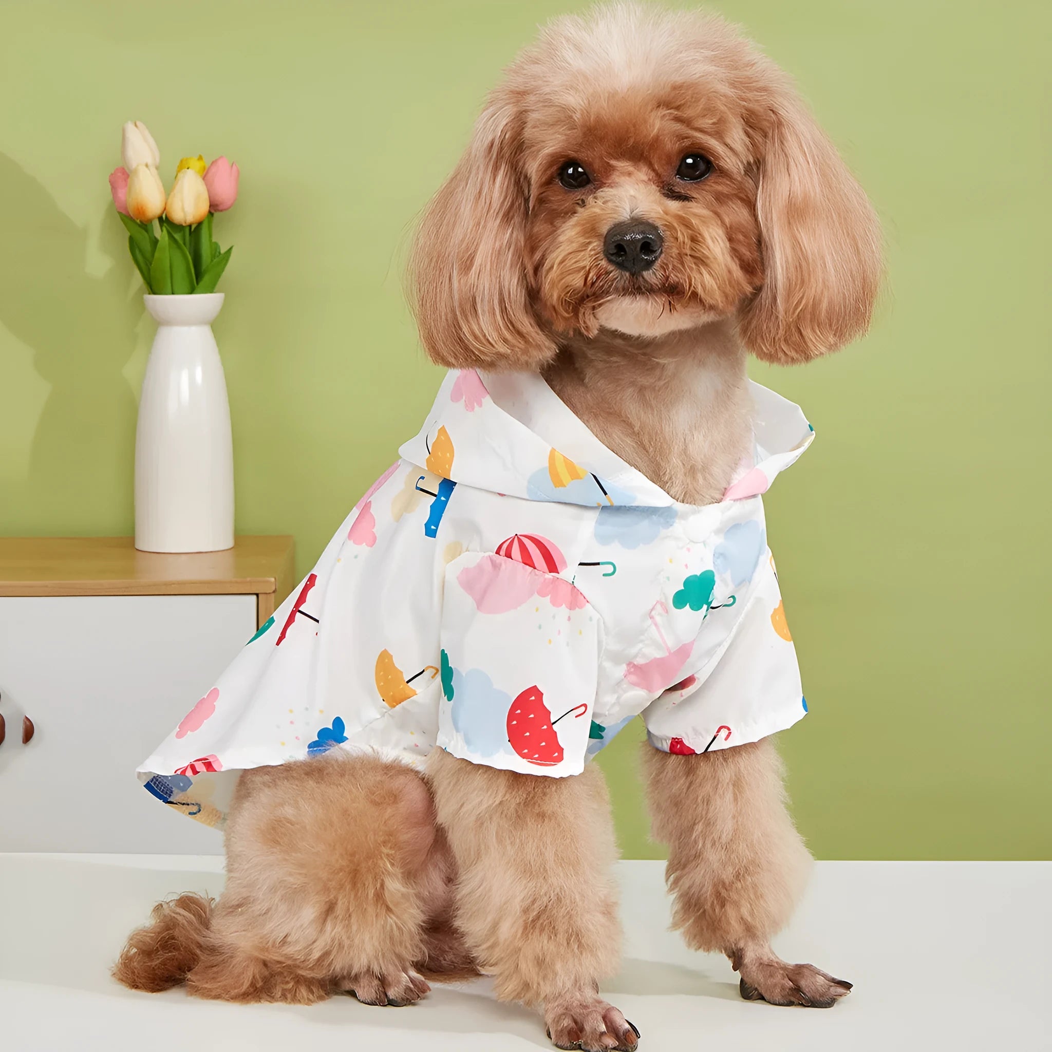 Colourful cartoon umbrella pattern dog raincoat on model dog