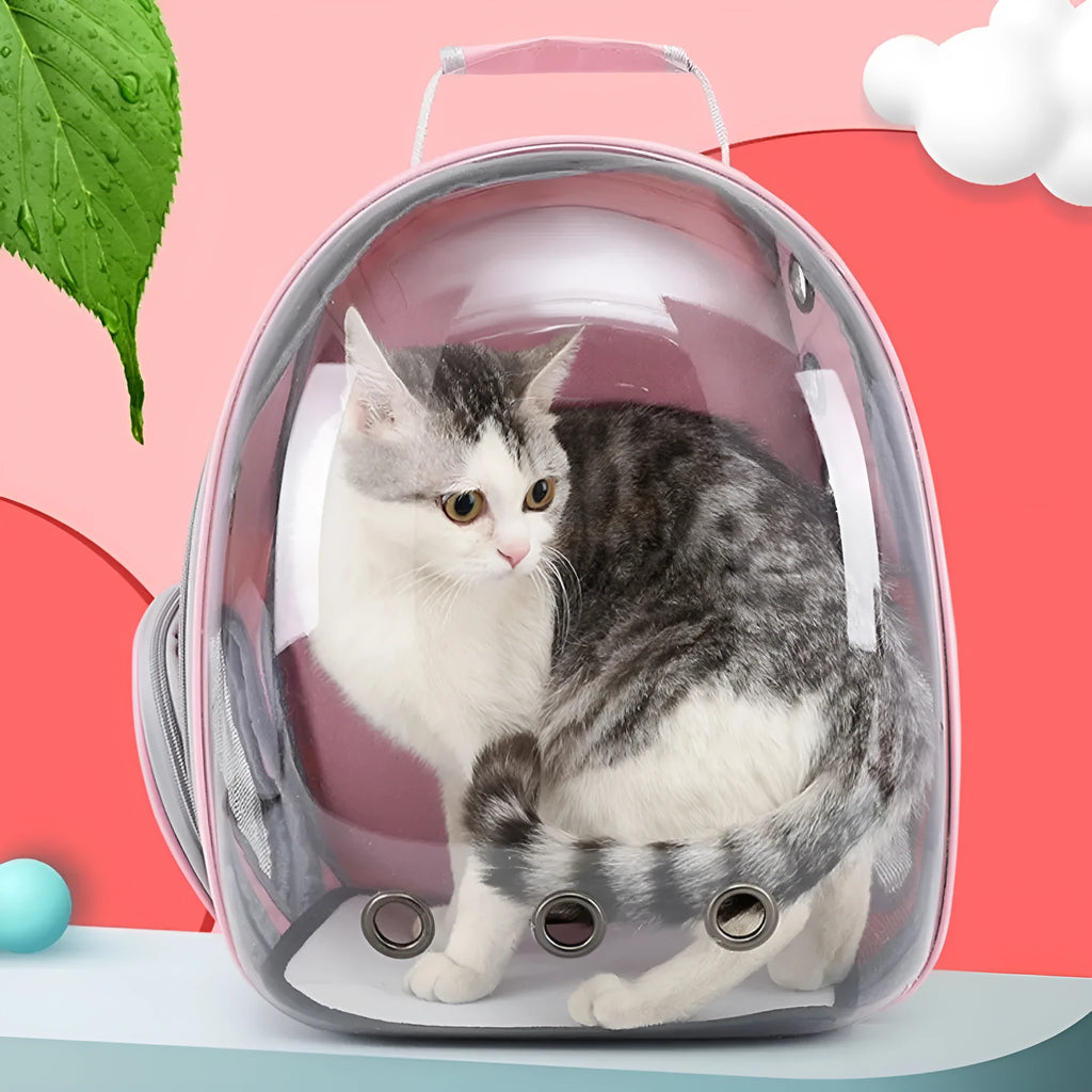A grey PC plastic pet carrier bag with a side-opening door, shown on a white background.