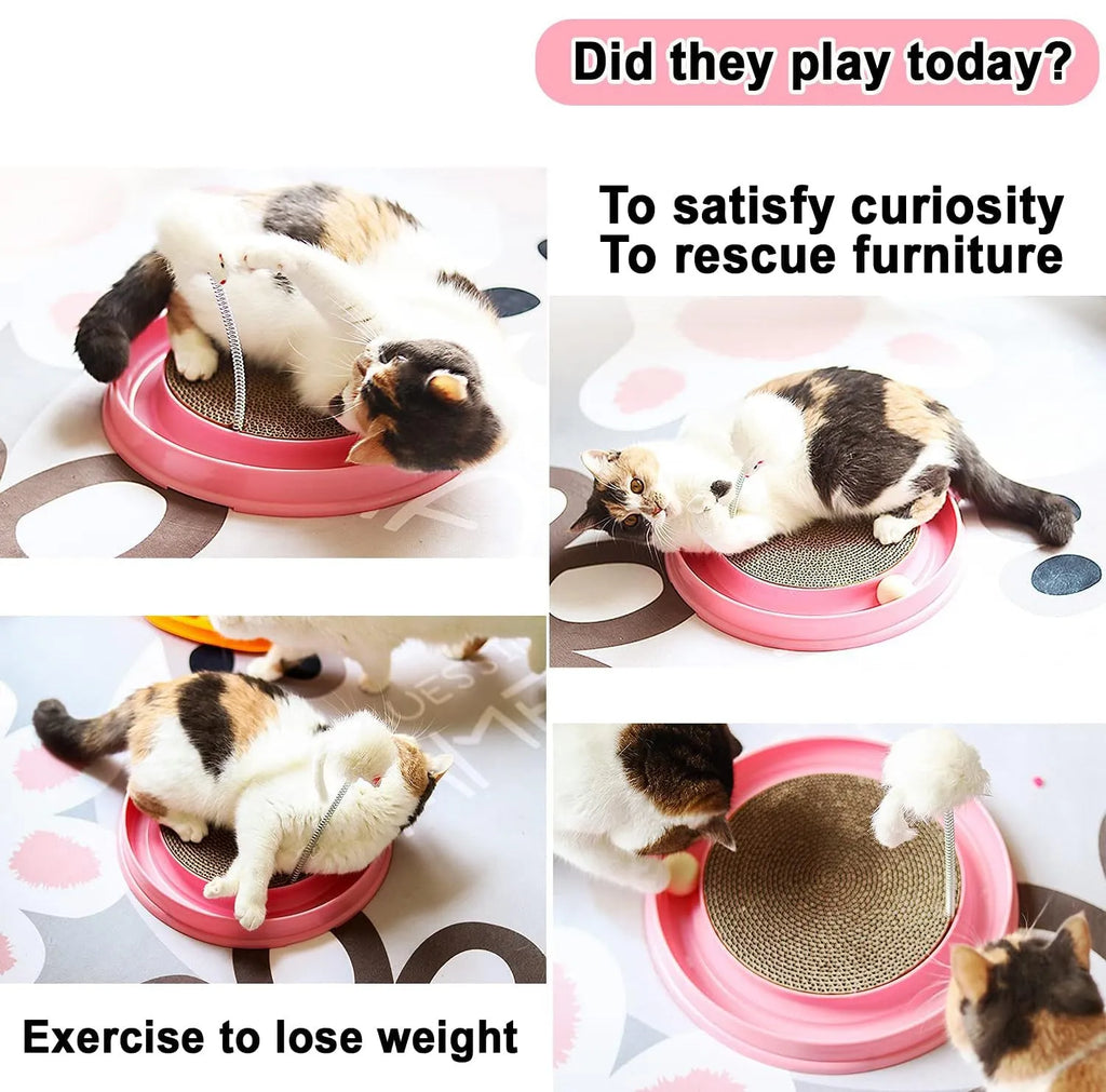 Blue circular cat scratcher with ball track and replaceable cardboard scratching centre