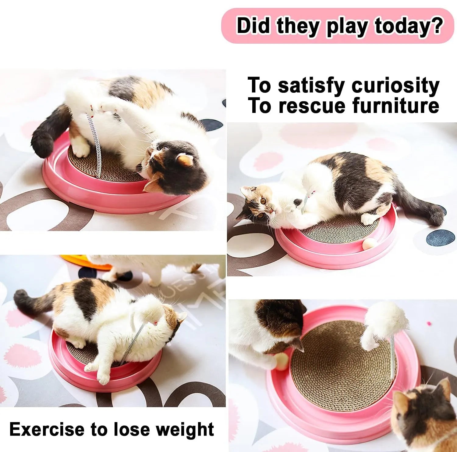 Blue circular cat scratcher with ball track and replaceable cardboard scratching centre