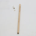 Seed Pencil with HB refill and coloured degradable capsule containing plant seeds.