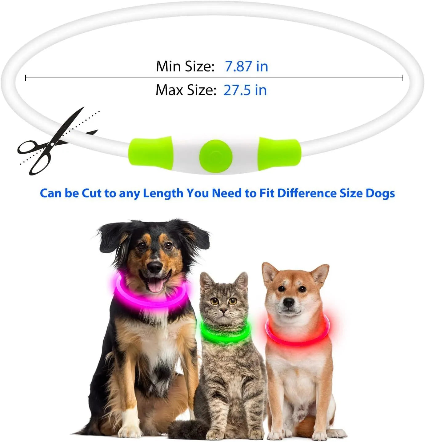 USB rechargeable LED dog safety collar showing blue illuminated band with adjustable 70cm length