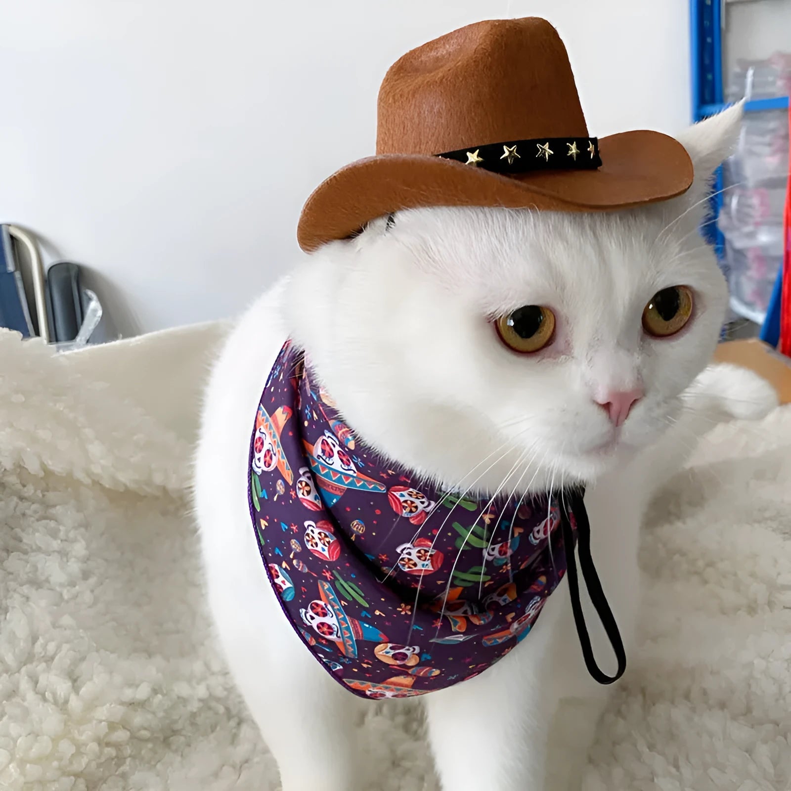 British-style brown cowboy hat for a cat on a mannequin head.