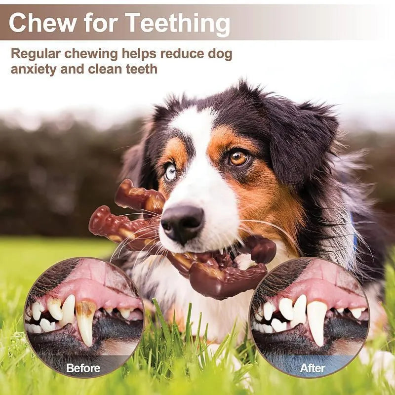 Scarlet red beef flavour nylon dog chewing toy for molar nibbling, measuring 10.7cm by 17.2cm