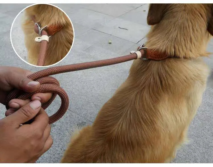 Brown nylon dog leash with P chain attachment measuring 2.1 metres with rope hand holding section