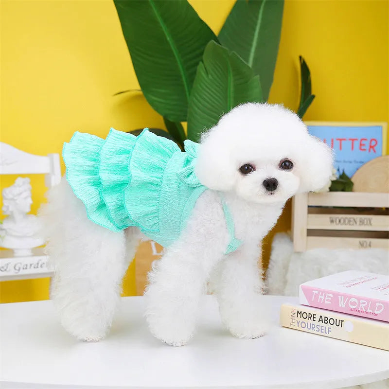 Small dog wearing princess dress with candy layered skirt in rose red colour