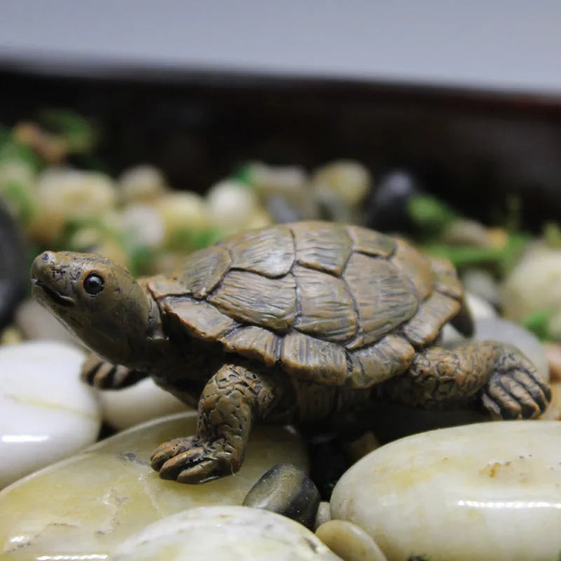 Resin simulation turtle garden decoration ornament with realistic colouration