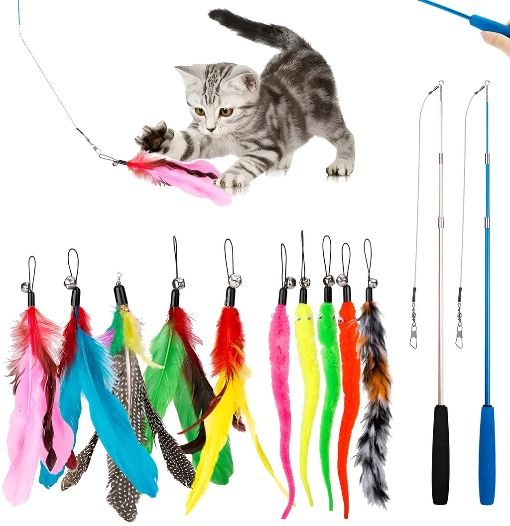 Cat teaser fishing rod with feather attachments and replacement heads
