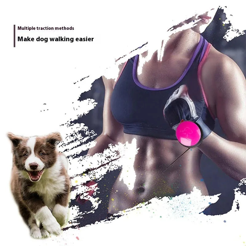 Retractable dog lead with automatic locking mechanism in six colour options