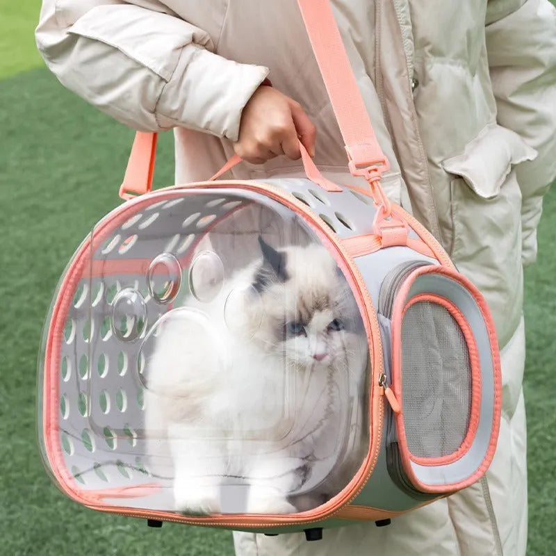 Hard EVA transparent space capsule cat backpack in large 42cm size with grass green colour option