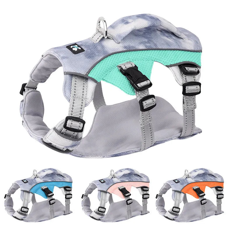Reflective light blue dog chest strap shown on a dog for size and fit.