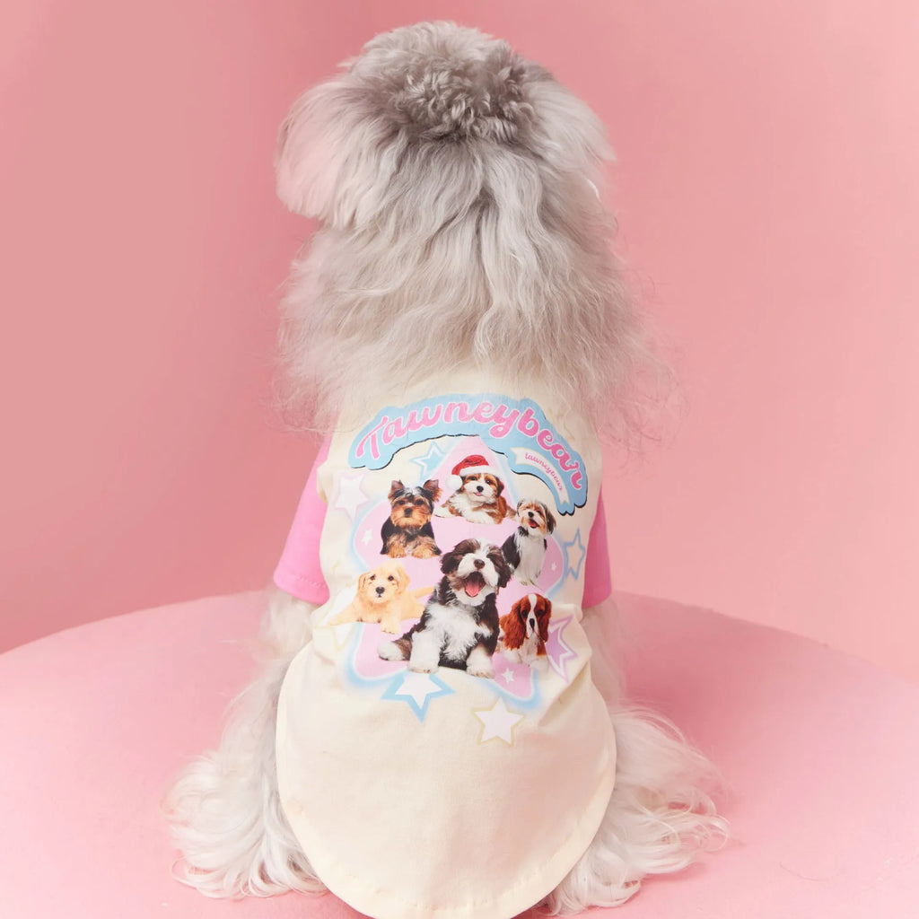 Red embroidered cotton summer dog clothing on a small dog, showing lightweight design.