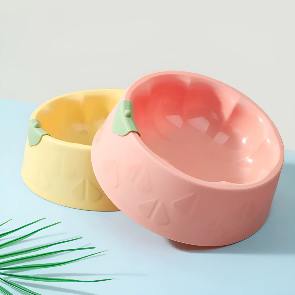 Green plastic flower-shaped double pet bowl for food and water on a white background.