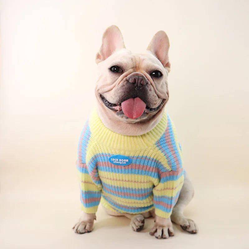 Blue and yellow striped wool dog sweater for small breeds like Schnauzer and Bichon.