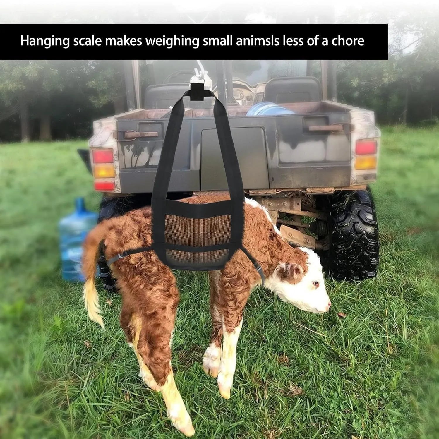 Black nylon livestock weighing sling measuring 35x150 cm with reinforced handles for calves and large dogs