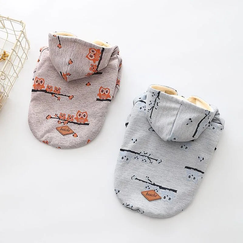 Blue or pink cotton dog sweater with front zipper closure in casual style