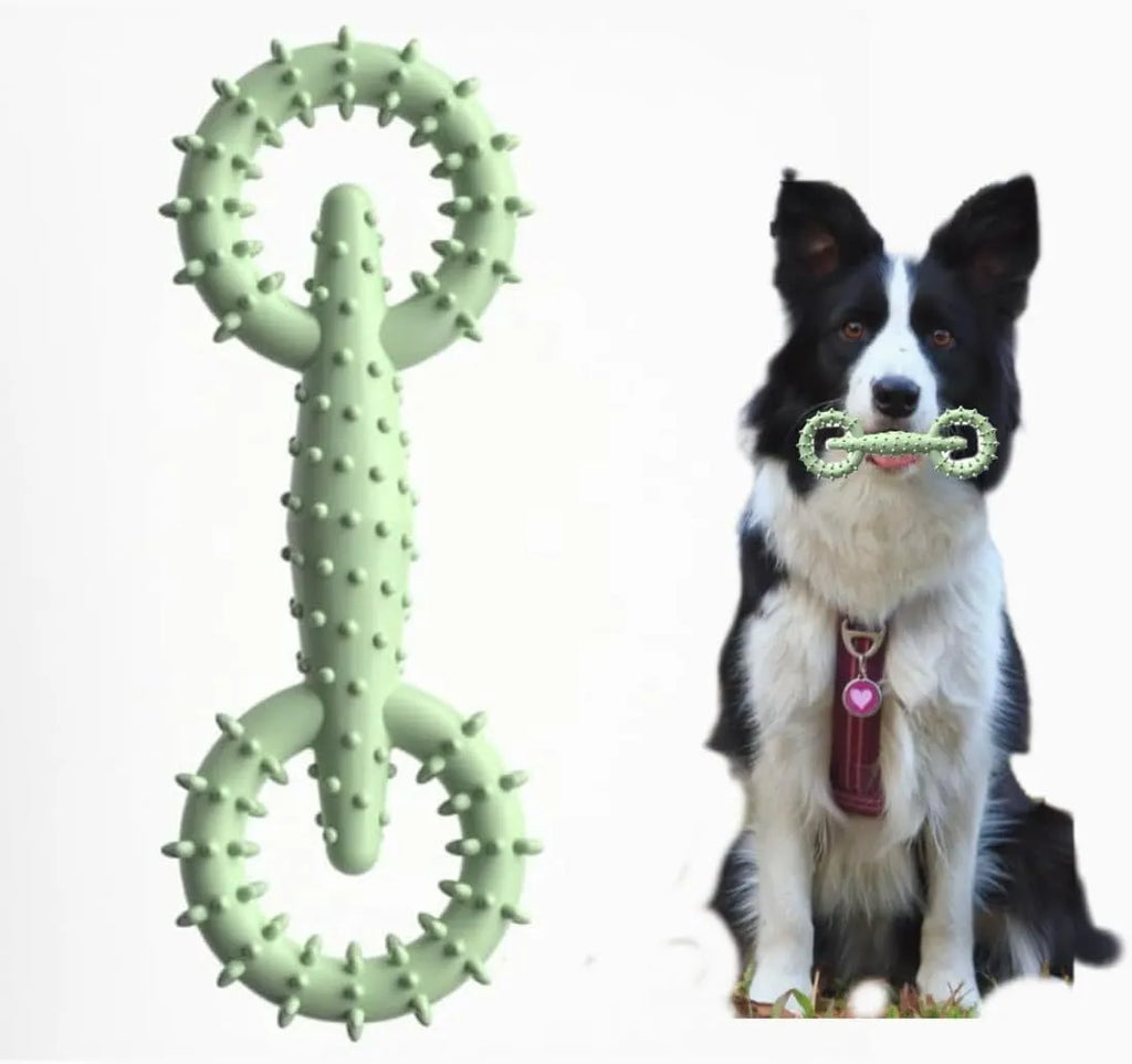 Blue TPR dog chew toy ring for puppy teething, 16cm diameter