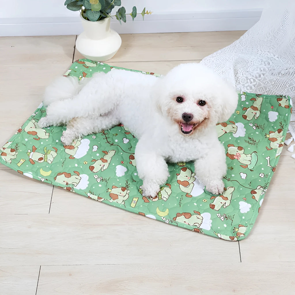 Reusable waterproof pet training pad with colourful animal print design