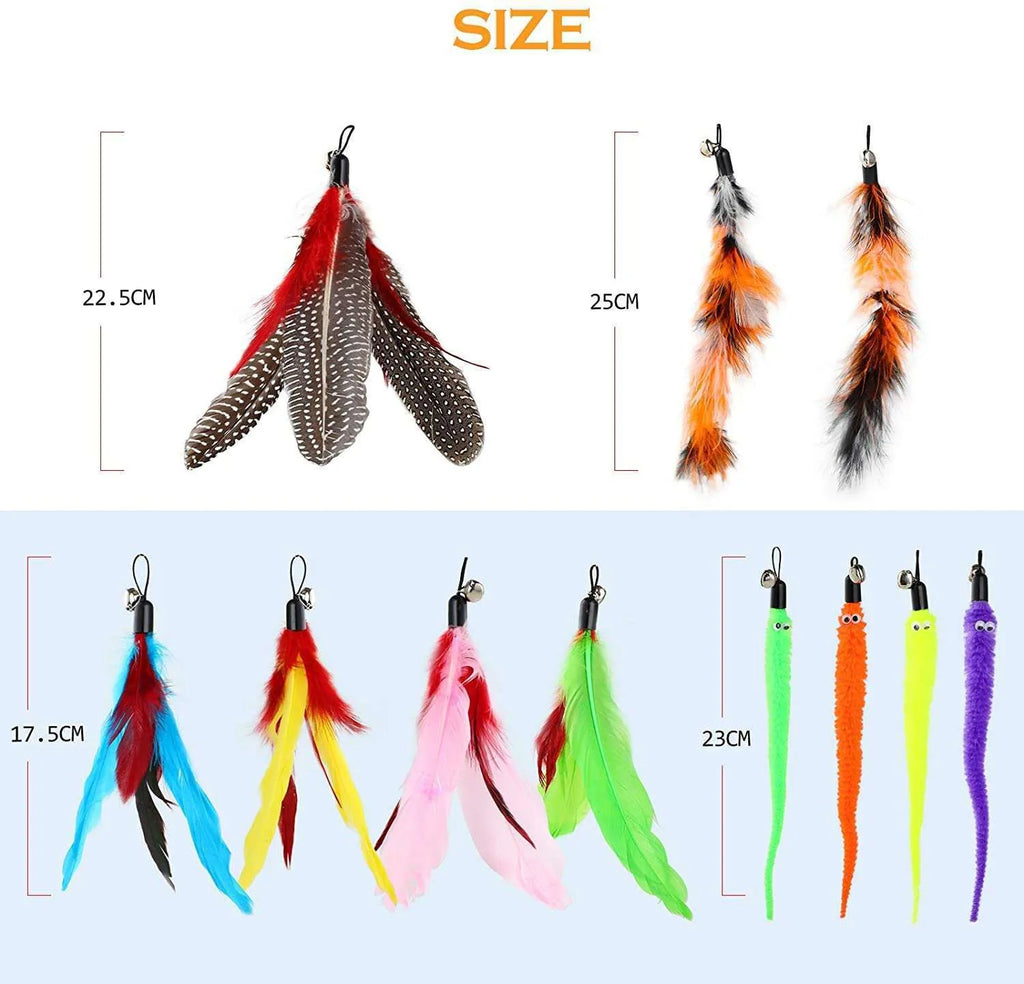 Cat teaser fishing rod with feather attachments and replacement heads