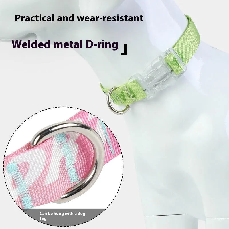 Adjustable nylon dog collar with cartoon gradient pattern in green colour options.