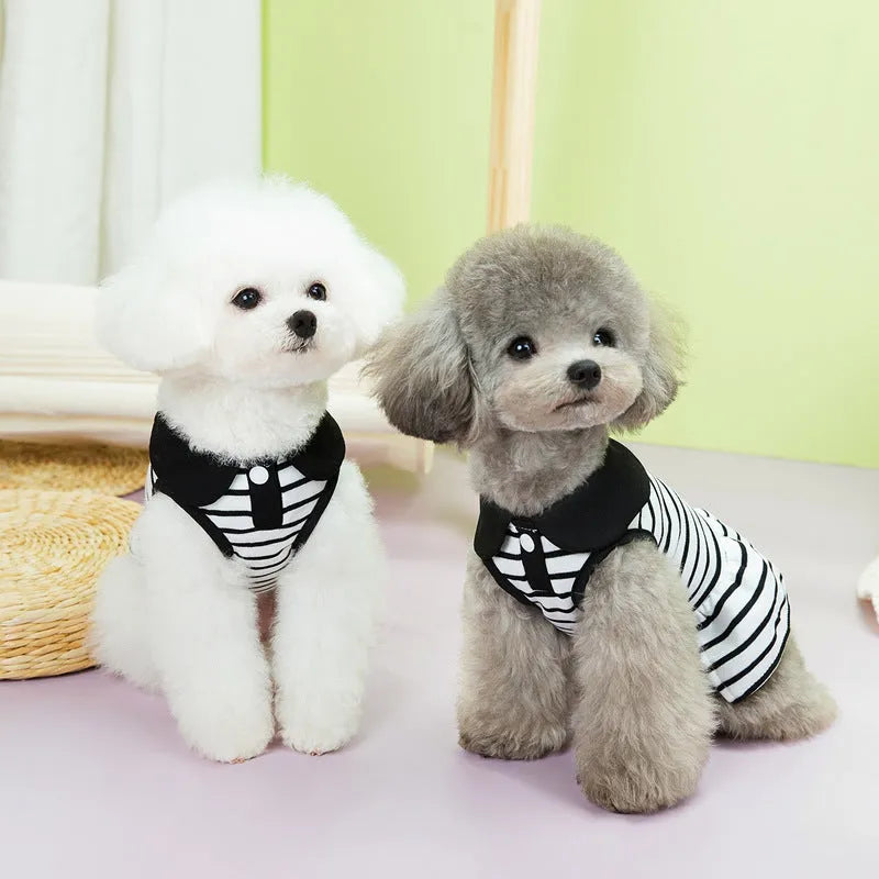 Pink striped cotton T-shirt and skirt set for dogs, summer pet clothing outfit