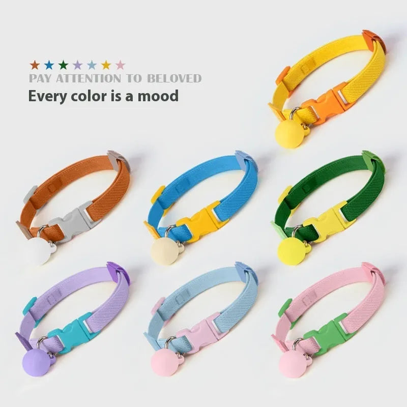 Small dog wearing adjustable polyester pet collar with monochrome pattern in one of seven available colours