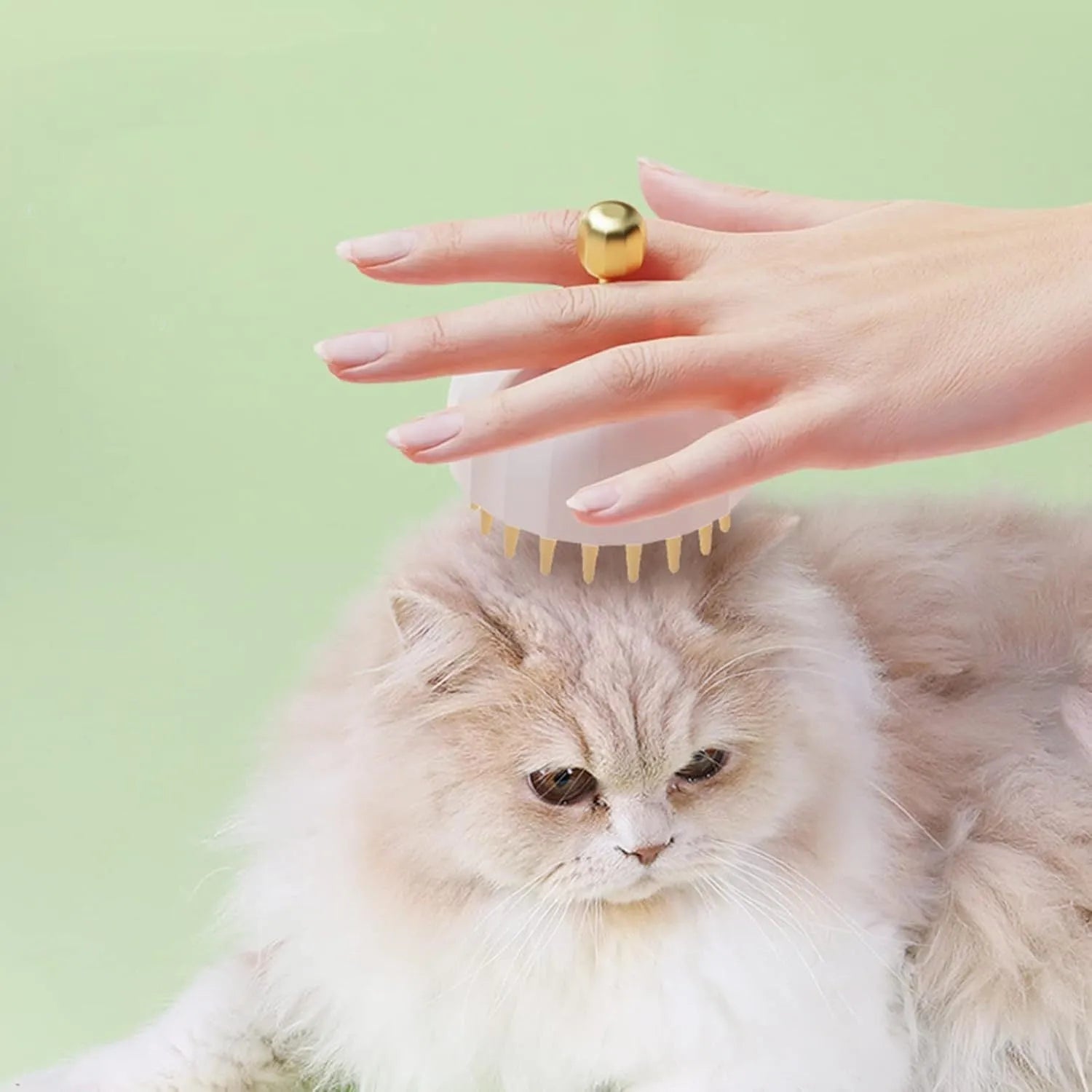 Green pet shampoo massage brush with drain holes for dog and cat bath grooming
