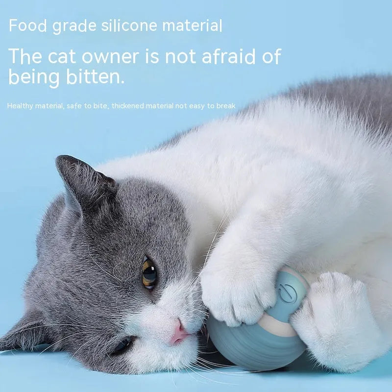 Blue automatic moving cat toy ball with USB charging cable on wooden floor