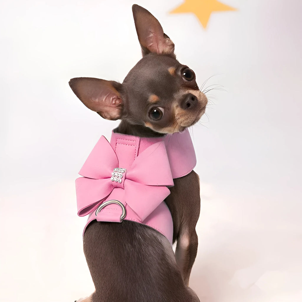 Pink blue orange dog harness with bowknot on adjustable microfiber chest strap