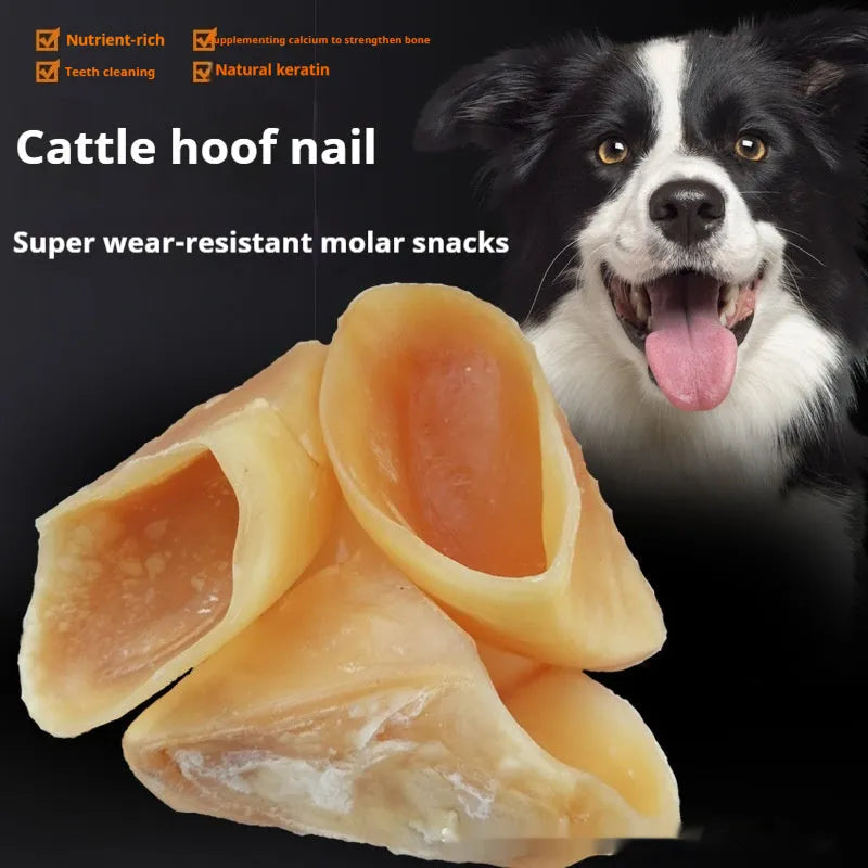 Cowhide dog chew snack in hoof shell colour, a grinding rod for small and large breeds.